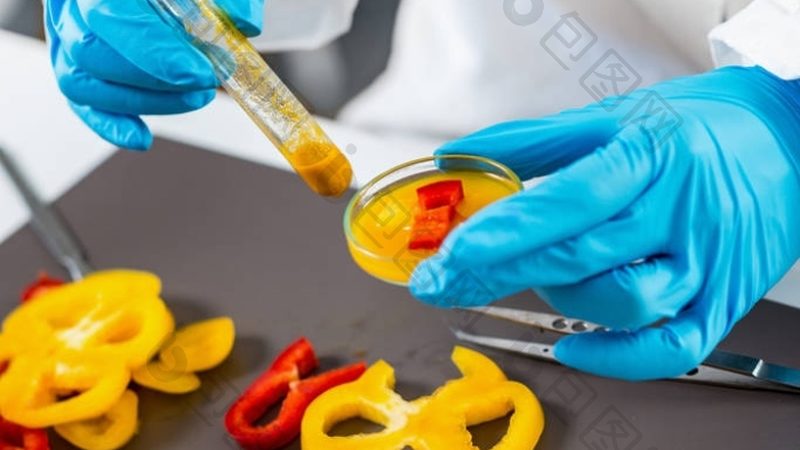 坚果炒货加工设备材质：如何确保食品安全与品质**